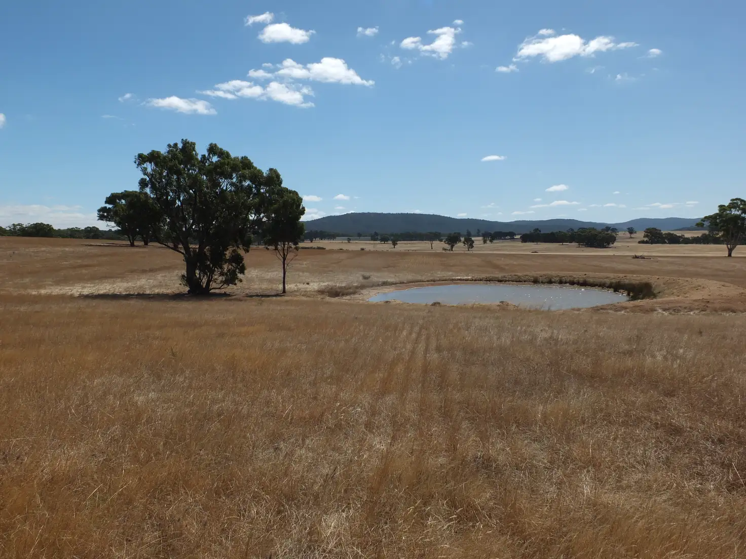 Main view of Homely rural property listing, C42C106105106B Long Gully Road, Natte Yallock VIC 3465