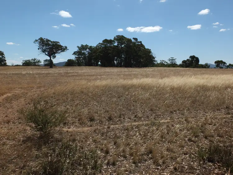 Sixth view of Homely rural property listing, C42C106105106B Long Gully Road, Natte Yallock VIC 3465