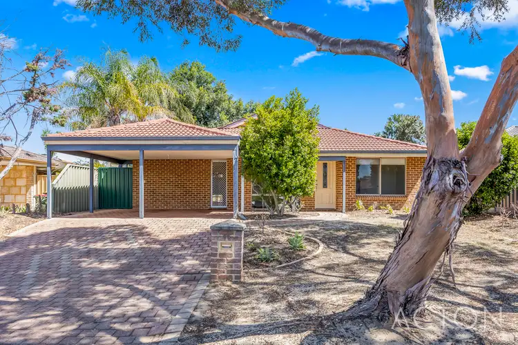 46 Mint Circuit, Banksia Grove WA 6031