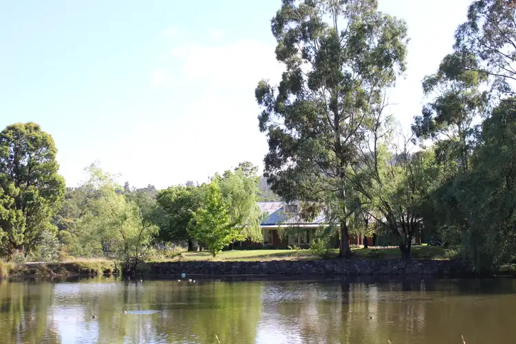 Main view of Homely rural property listing, 381 Elliott Way, Maragle NSW 2653