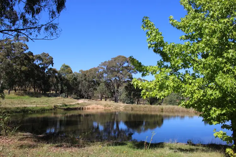Fifth view of Homely rural property listing, 381 Elliott Way, Maragle NSW 2653