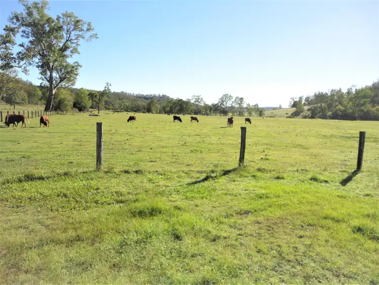 Fourth view of Homely rural property listing, Lot 205 Ripley Road, Lyons QLD 4124