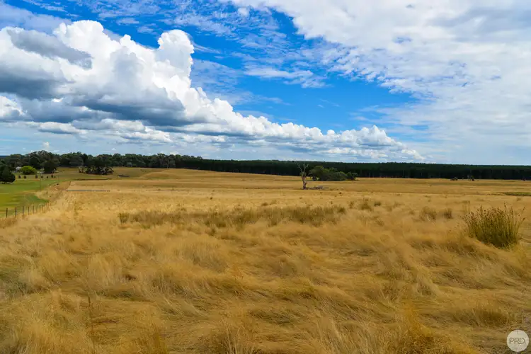 Lot 13 Rosewood Hills Rd, Rosewood NSW 2652