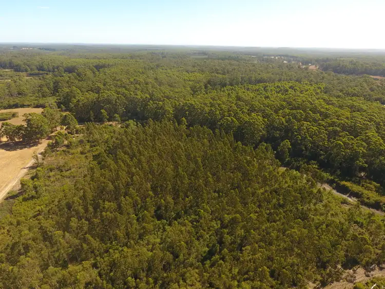 Seventh view of Homely rural property listing, Lot 2 Off Big Hill Brook Road, Northcliffe WA 6262