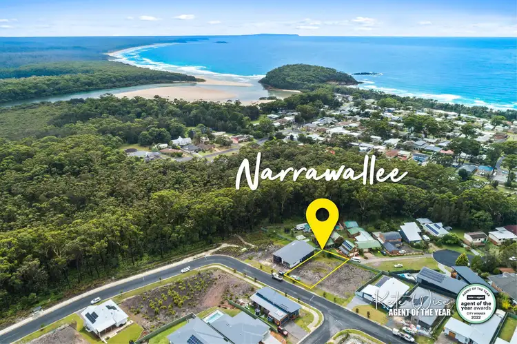 92 Gemini Way, Narrawallee NSW 2539