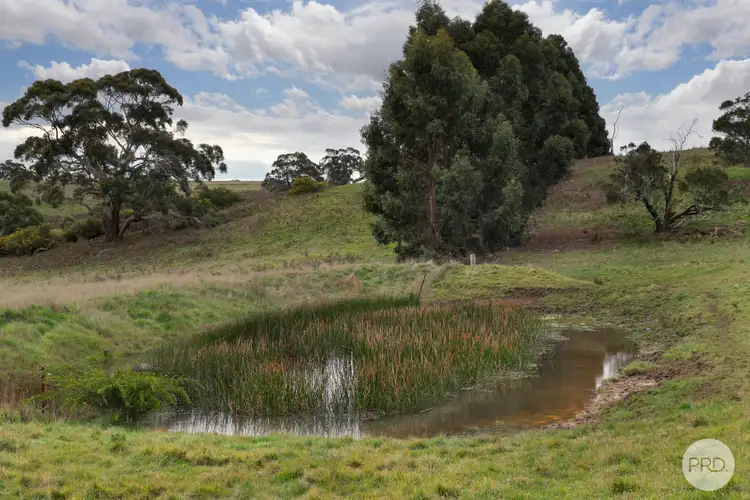 Fifth view of Homely land listing, LOT 192 Savage Hill Road, Dereel VIC 3352