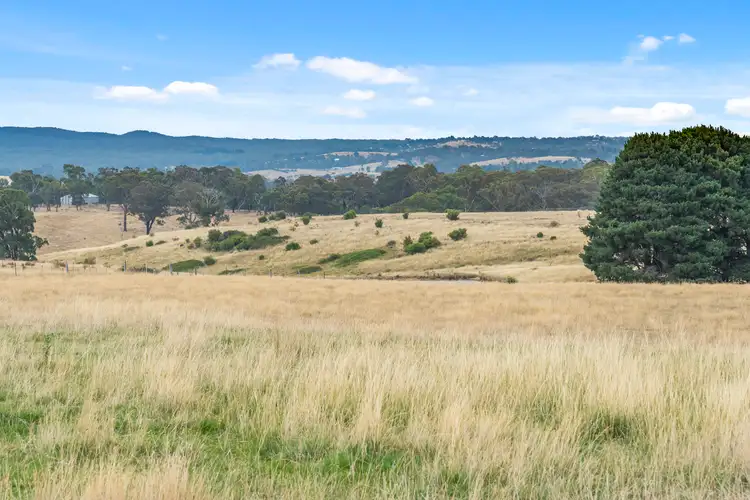 Second view of Homely land listing, 215 Spring Creek Road, Taradale VIC 3447