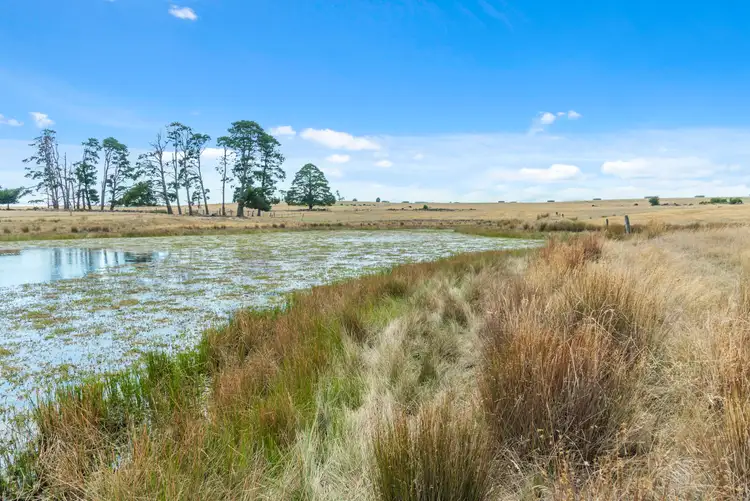 Third view of Homely land listing, 215 Spring Creek Road, Taradale VIC 3447