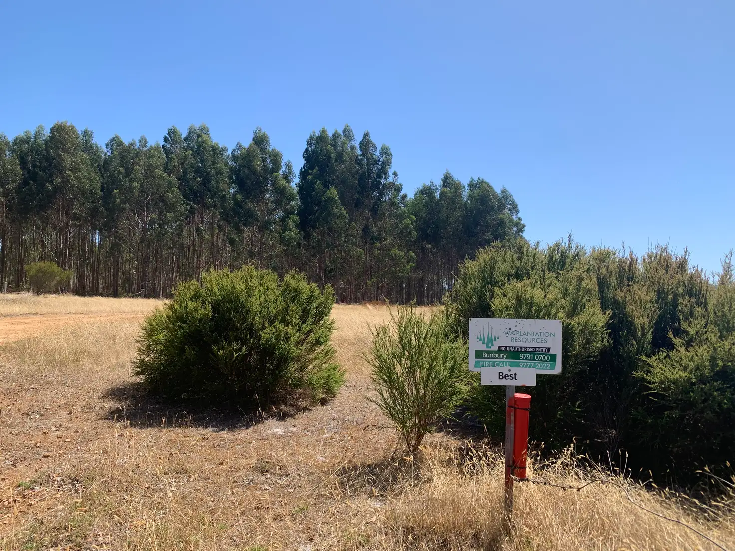 Main view of Homely rural property listing, Lot 1 Diagram 97548 Yubarl Road, Northcliffe WA 6262