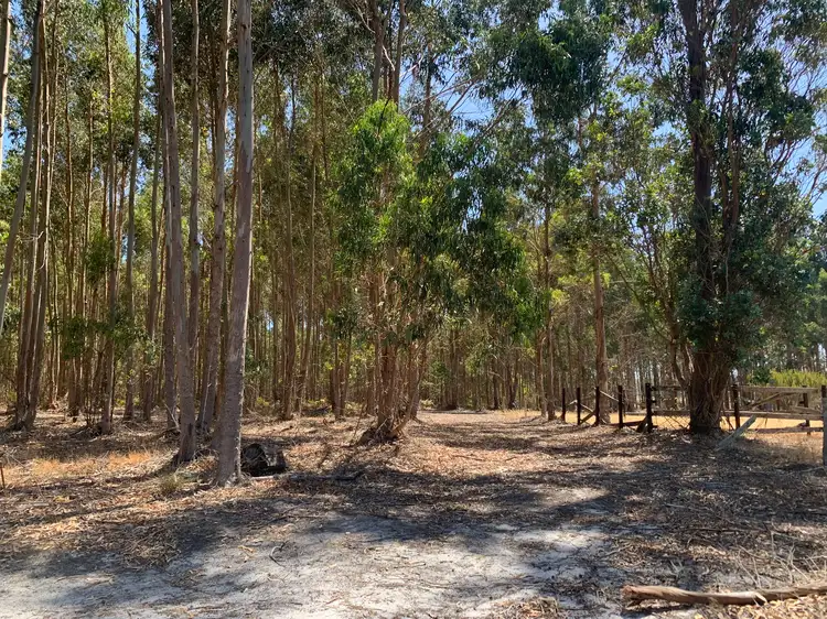 Second view of Homely rural property listing, Lot 1 Diagram 97548 Yubarl Road, Northcliffe WA 6262