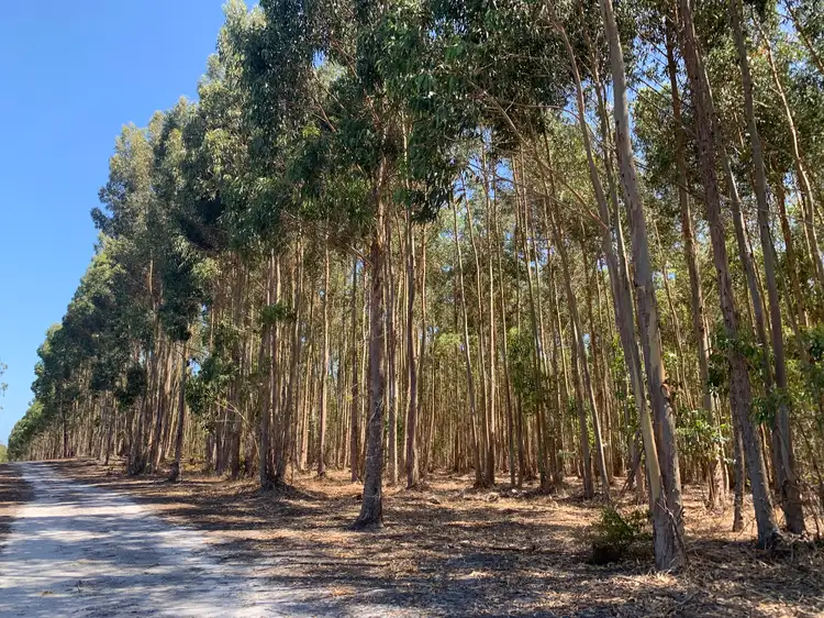 Third view of Homely rural property listing, Lot 1 Diagram 97548 Yubarl Road, Northcliffe WA 6262