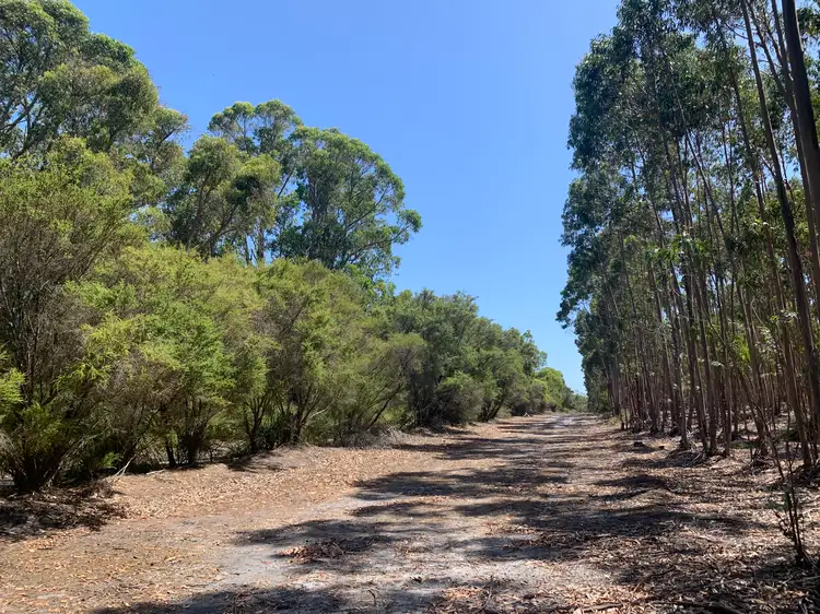 Fifth view of Homely rural property listing, Lot 1 Diagram 97548 Yubarl Road, Northcliffe WA 6262