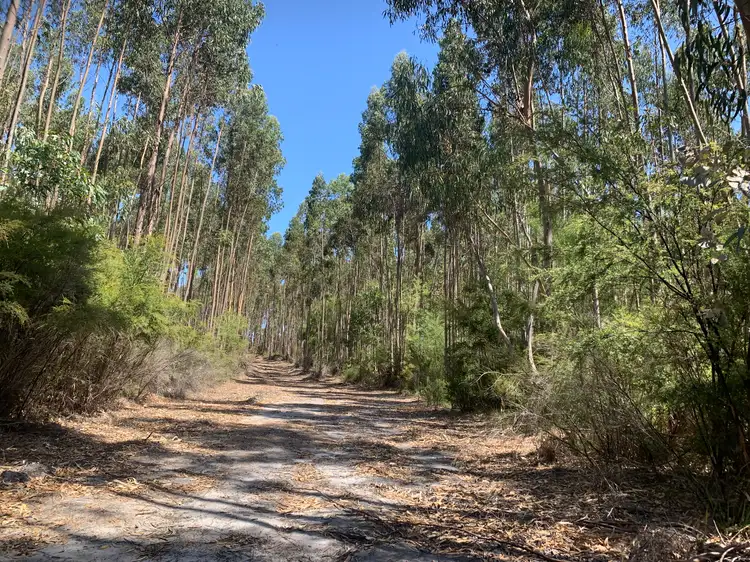 Seventh view of Homely rural property listing, Lot 1 Diagram 97548 Yubarl Road, Northcliffe WA 6262