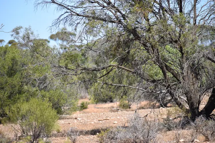 Fifth view of Homely land listing, Lot 277 Lake Short Road, Sandleton SA 5356