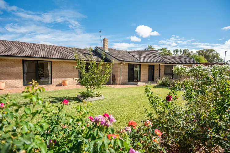 Main view of Homely house listing, 20 Alford Street, Currabubula NSW 2342