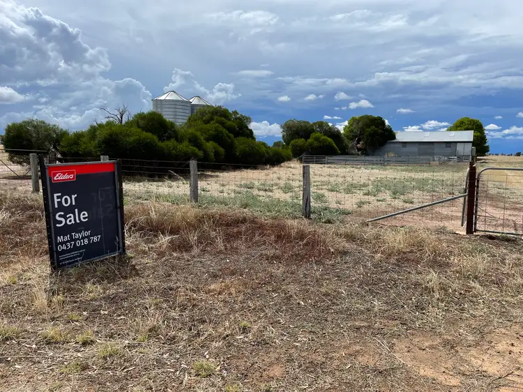 "Didi-Bahini" Cooks Lane