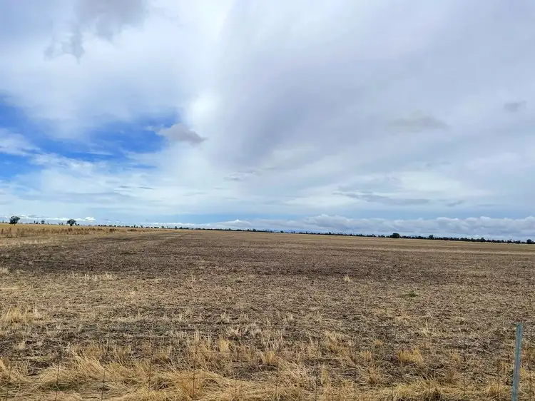 Second view of Homely rural property listing, "Didi-Bahini" Cooks Lane, Noradjuha VIC 3409