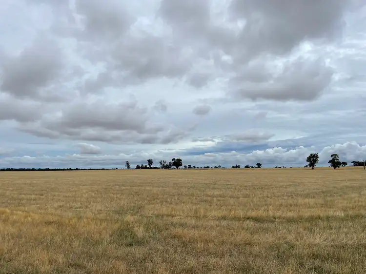 Third view of Homely rural property listing, "Didi-Bahini" Cooks Lane, Noradjuha VIC 3409