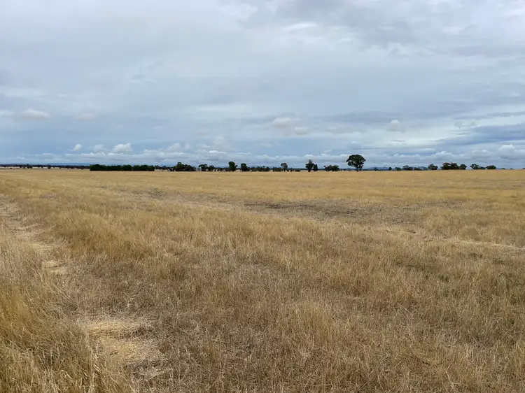 Sixth view of Homely rural property listing, "Didi-Bahini" Cooks Lane, Noradjuha VIC 3409