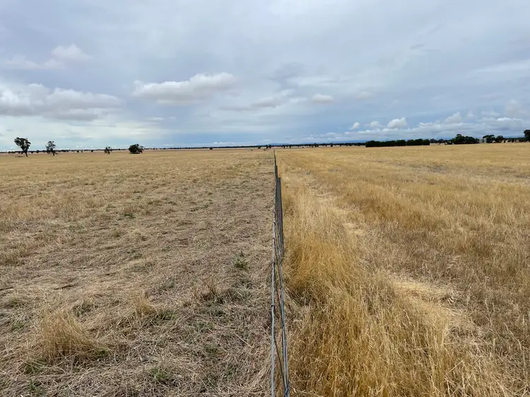 Seventh view of Homely rural property listing, "Didi-Bahini" Cooks Lane, Noradjuha VIC 3409