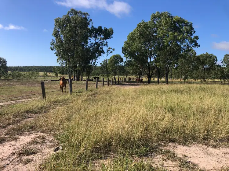 Third view of Homely rural property listing, 25731 Burnett Highway, Cynthia QLD 4627