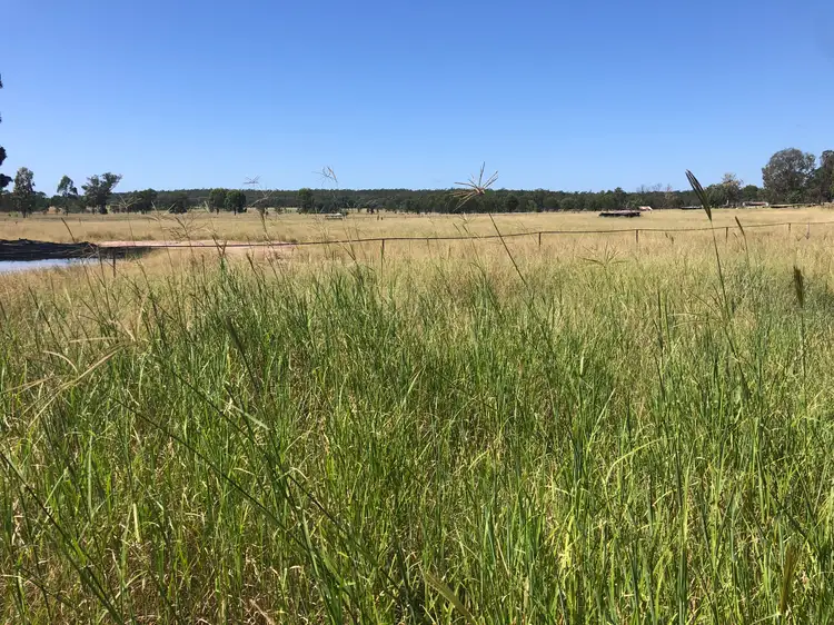 Seventh view of Homely rural property listing, 25731 Burnett Highway, Cynthia QLD 4627
