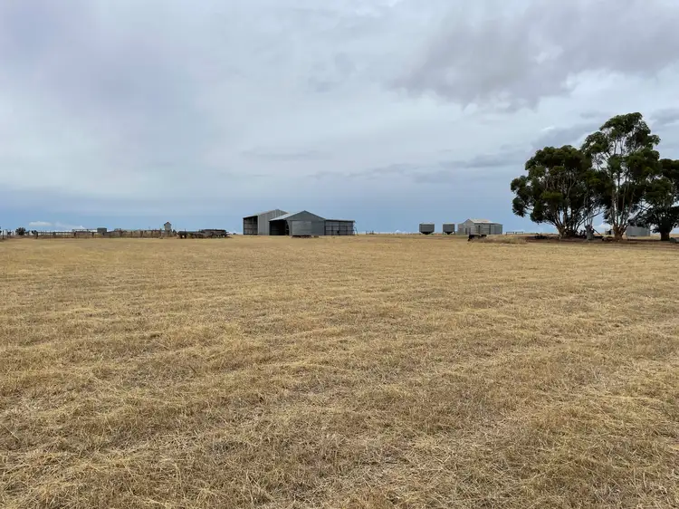 Fourth view of Homely rural property listing, "Lowan Estate" CA 25A Lowan, Scott Heard Lights Road, Noradjuha VIC 3409
