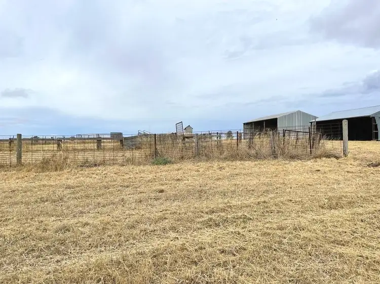 Fifth view of Homely rural property listing, "Lowan Estate" CA 25A Lowan, Scott Heard Lights Road, Noradjuha VIC 3409