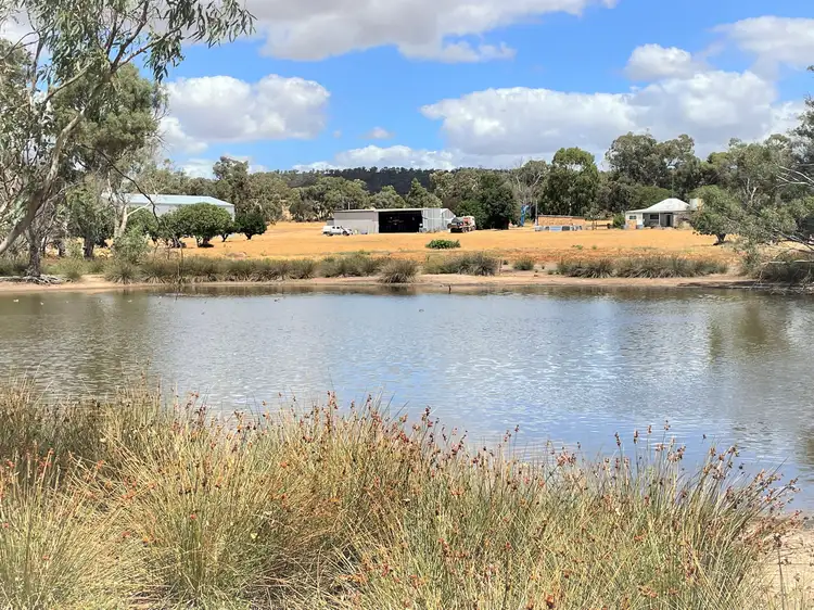 Main view of Homely rural property listing, 420 Clackline-Toodyay Rd, Katrine via, Northam WA 6401