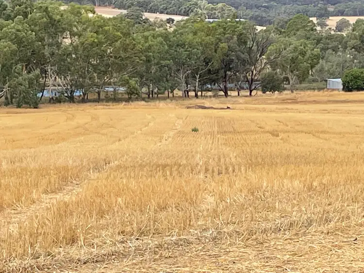 Second view of Homely rural property listing, 420 Clackline-Toodyay Rd, Katrine via, Northam WA 6401