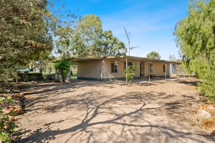 Main view of Homely house listing, 163 Twentysixth Street, Renmark South SA 5341