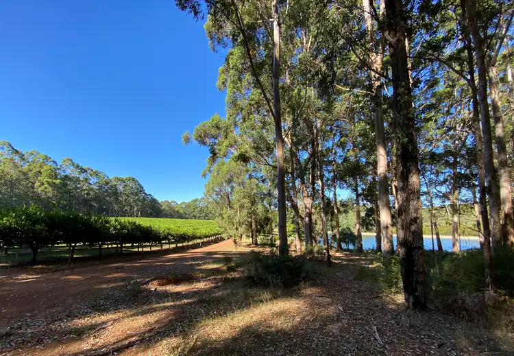 283 Old Vasse Road (Yeagarup), Pemberton WA 6260