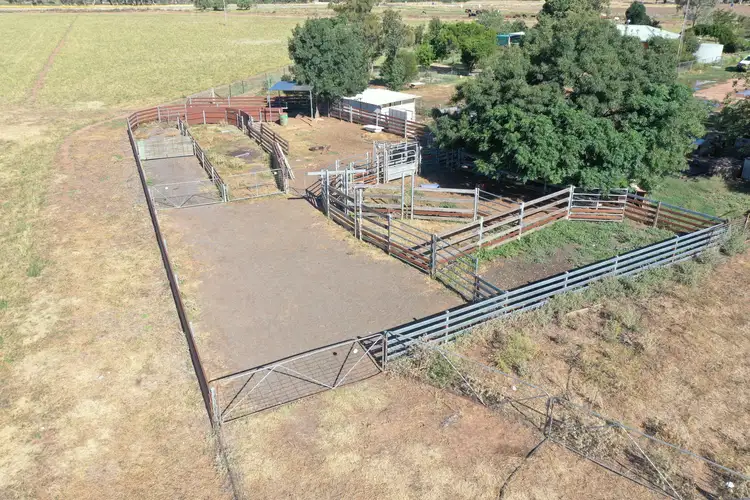 Second view of Homely rural property listing, 74 Pine Lodge Road, Tocumwal NSW 2714