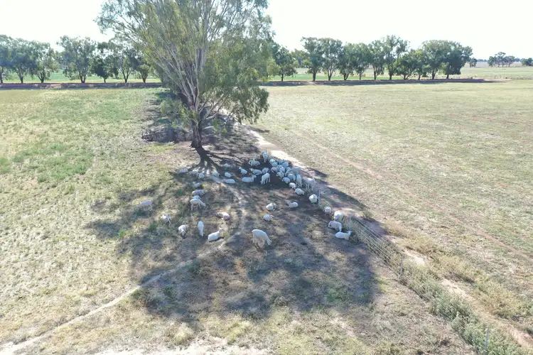 Fourth view of Homely rural property listing, 74 Pine Lodge Road, Tocumwal NSW 2714