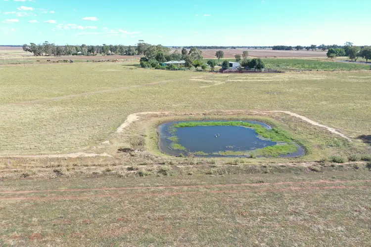 Fifth view of Homely rural property listing, 74 Pine Lodge Road, Tocumwal NSW 2714