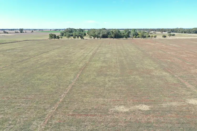 Sixth view of Homely rural property listing, 74 Pine Lodge Road, Tocumwal NSW 2714