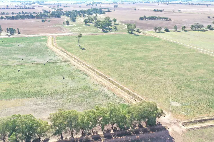 Seventh view of Homely rural property listing, 74 Pine Lodge Road, Tocumwal NSW 2714