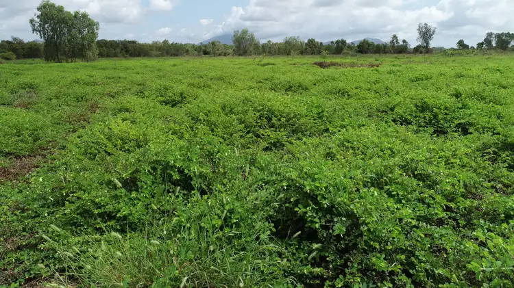 Main view of Homely rural property listing, Lot 9 BOWEN DEVELOPMENTAL ROAD, Bowen QLD 4805