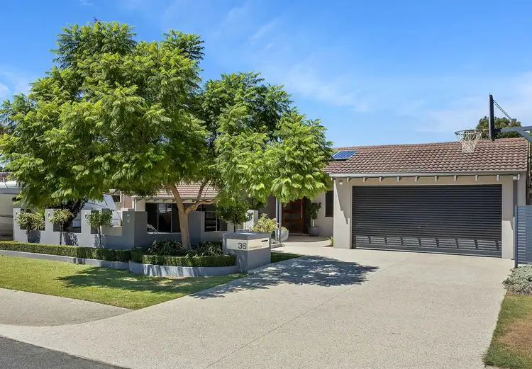 Main view of Homely house listing, 36 Ainsworth Loop, Booragoon WA 6154