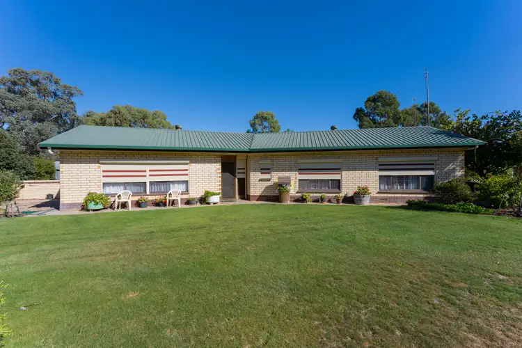 21 Kerslake Street, Bordertown SA 5268