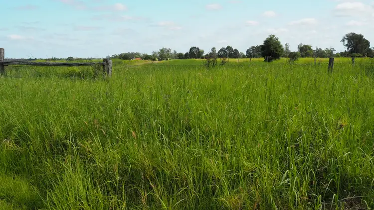 Third view of Homely rural property listing, 1828 BANANA MUNGI ROAD, Moura QLD 4718