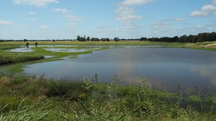 Seventh view of Homely rural property listing, 1828 BANANA MUNGI ROAD, Moura QLD 4718