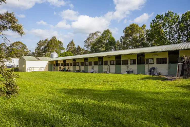 Sixth view of Homely rural property listing, 799 Comboyne Road, Cedar Party NSW 2429
