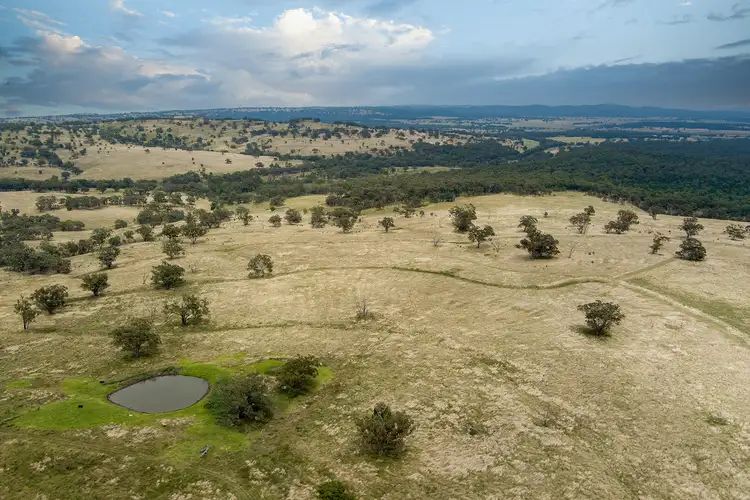 Main view of Homely rural property listing, 256 Brown Springs Road, Coolah NSW 2843
