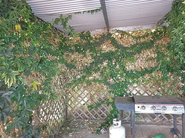 Fifth view of Homely house listing, 7 Sugg Street, Whyalla Norrie SA 5608