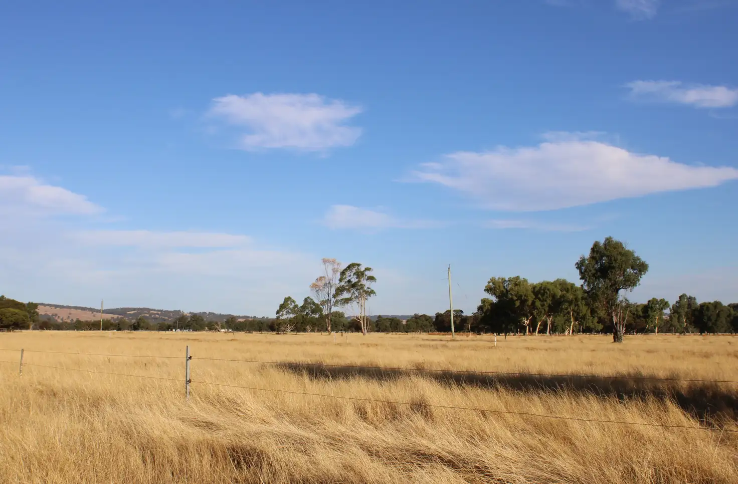 Main view of Homely rural property listing, 246 GOVERNMENT ROAD, Harvey WA 6220