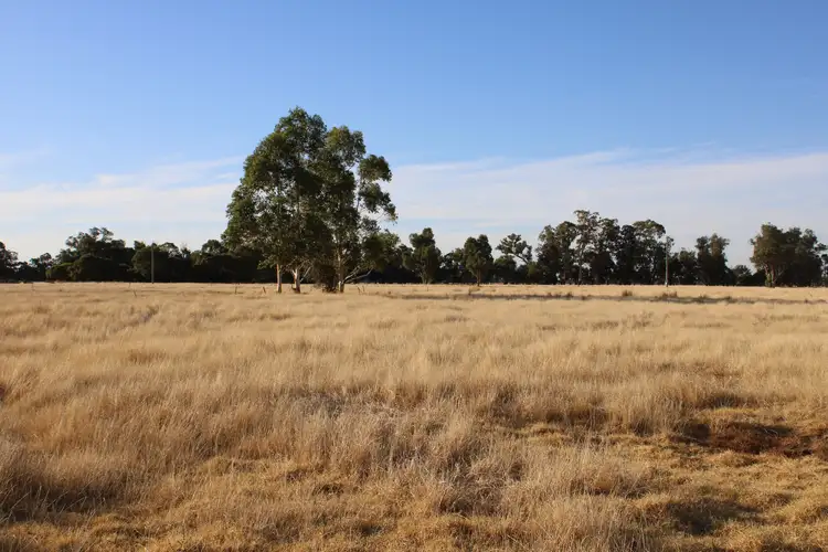 Second view of Homely rural property listing, 246 GOVERNMENT ROAD, Harvey WA 6220