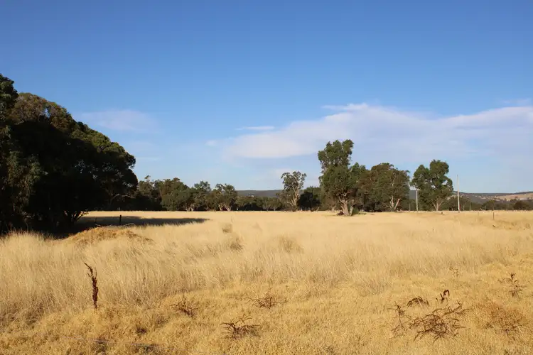 Third view of Homely rural property listing, 246 GOVERNMENT ROAD, Harvey WA 6220