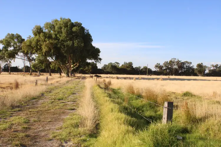 Fourth view of Homely rural property listing, 246 GOVERNMENT ROAD, Harvey WA 6220