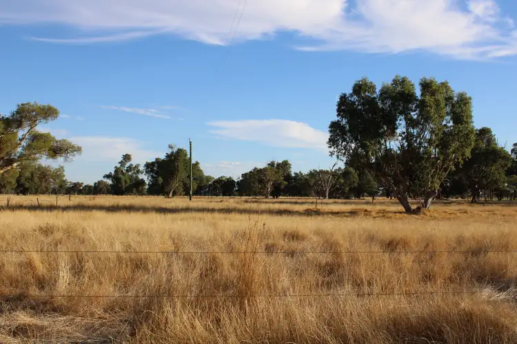 Fifth view of Homely rural property listing, 246 GOVERNMENT ROAD, Harvey WA 6220